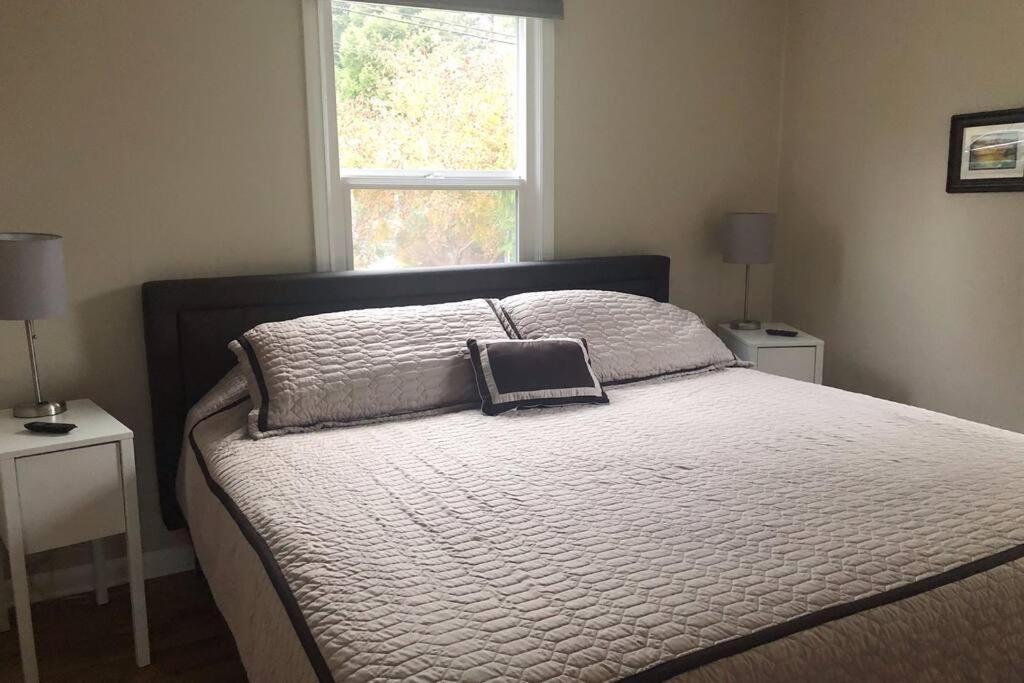 Cozy Crown Hill Carkeek Cottage W/3 Beds, Full Kitchen & Backyard In North Seattle Exterior foto